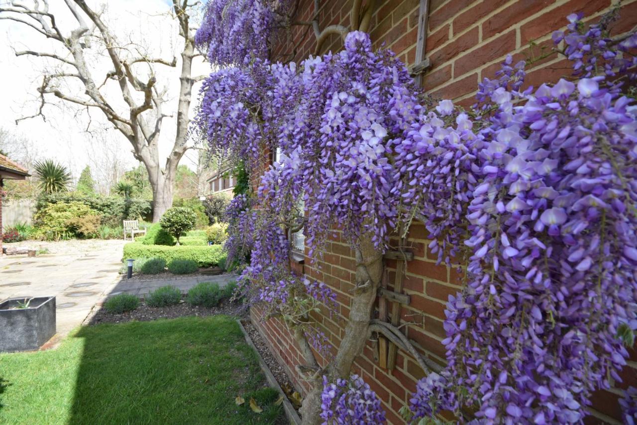 Wisteria Way, Tangmere Bagian luar foto